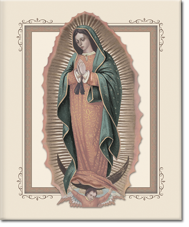 Our Lady of Guadalupe Register Book