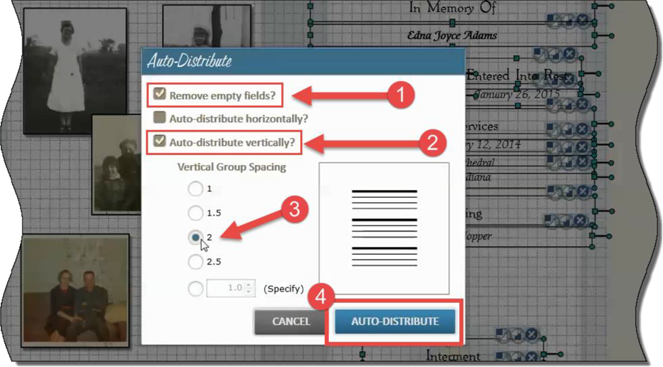 Auto Distribute2